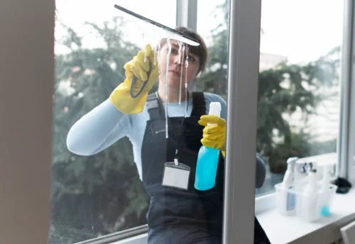 Nettoyage de vitres intérieures et extérieures à Mondavezan